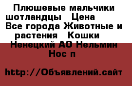 Плюшевые мальчики шотландцы › Цена ­ 500 - Все города Животные и растения » Кошки   . Ненецкий АО,Нельмин Нос п.